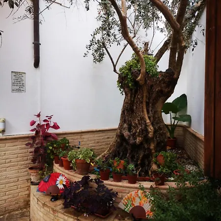 Hotel La Llave De La Juderia Boutique 3*