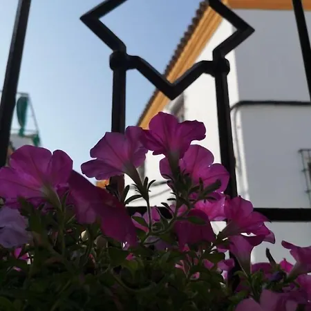 Boutique La Llave De La Judería 3*
